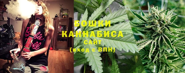 2c-b Инсар