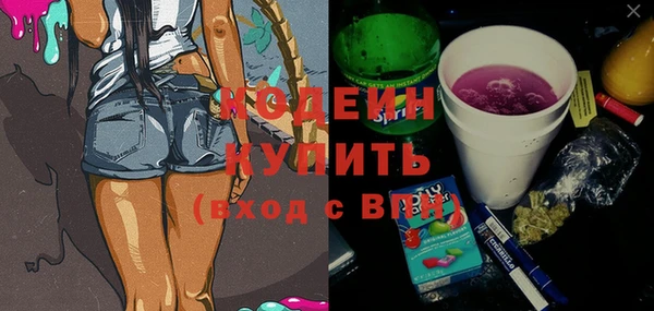 дживик Чегем
