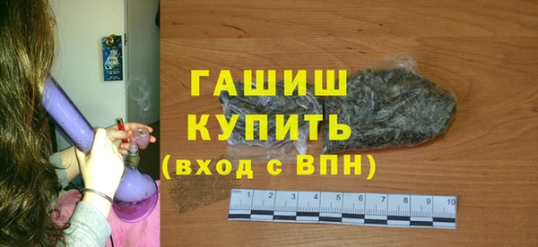 гашик Каменка