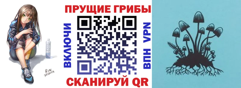 ссылка на мегу ССЫЛКА  Жуков  Галлюциногенные грибы мухоморы  наркошоп 